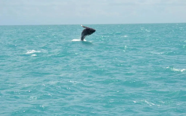 Pousada Corais De Abrolhos
