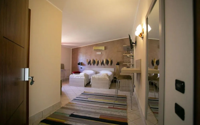 B&B Trepo