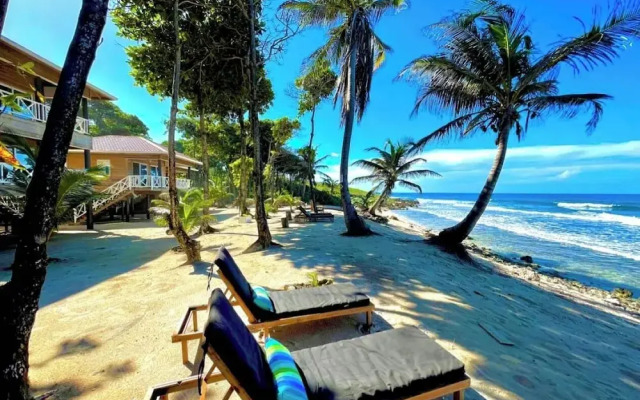 Turtle Beach Sanctuary Utila