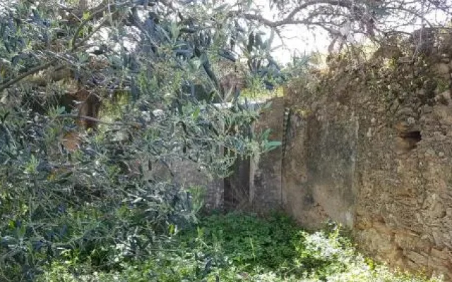 Villa SeaBreeze