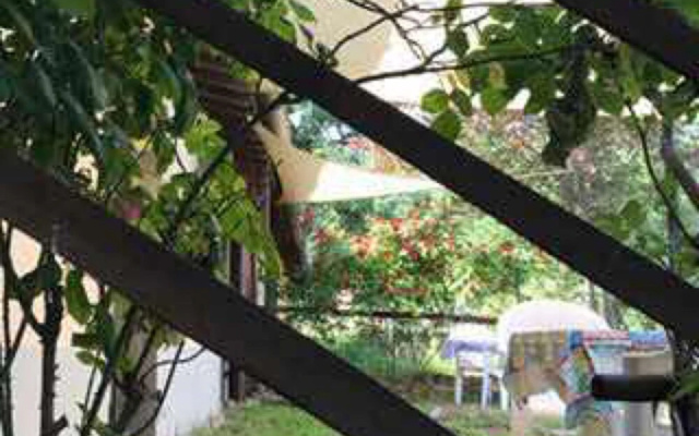 Agriturismo Colleciglio