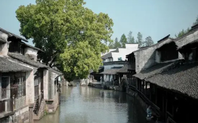 Wuzhen Autumn Joy Art Hotel