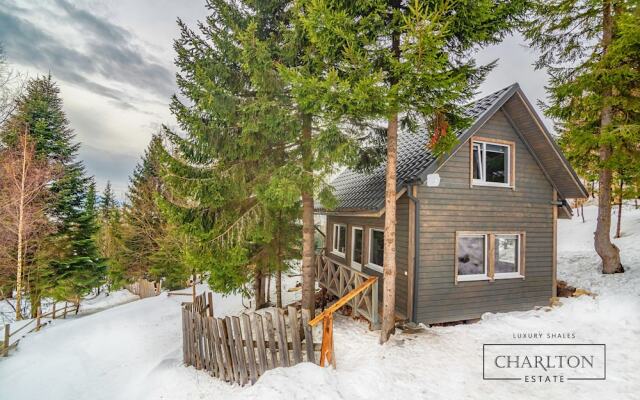 Гостиница Charlton Estate Украина, Буковель - отзывы, цены и фото номеров - забронировать гостиницу Charlton Estate онлайн вид на фасад