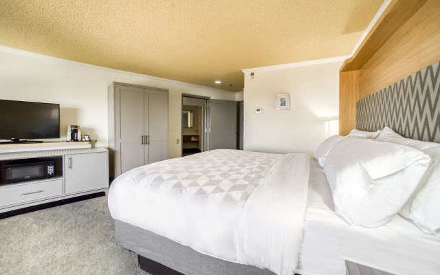 Holiday Inn Mobile-Dwtn/Hist. District by IHG