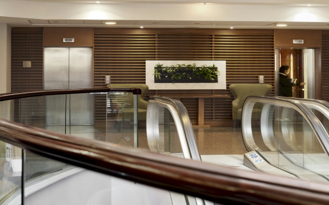 Stamford Bridge Hotel