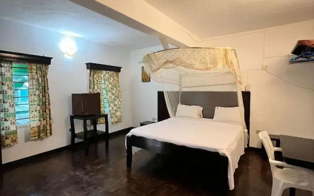 The New Big Tree Beach Resort