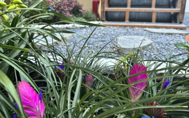 Yuanyuan Na's Garden Homestay (Dali Ancient City Branch)