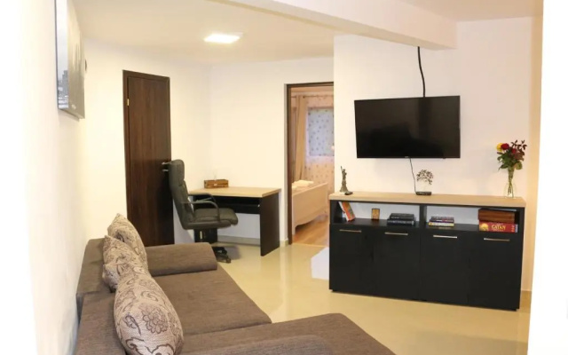 Timisoara City Apartments