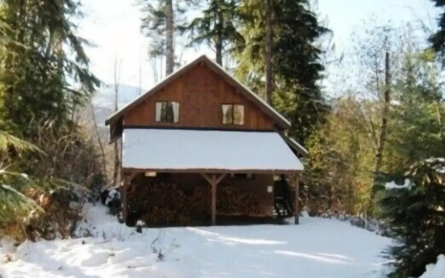 Mt. Baker Lodging  Cabin 44 (Sleeps 6)