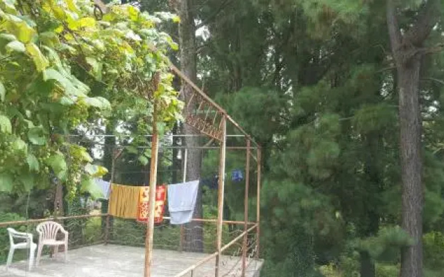 Tamuna