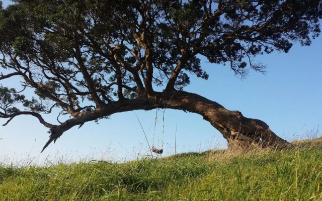Waiheke Island Guesthouse