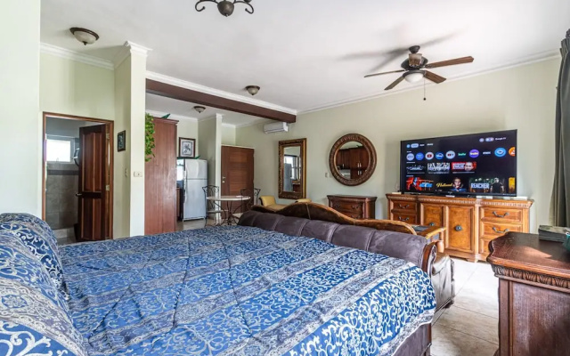 8203 - King, Ocean Dream, Cabarete!