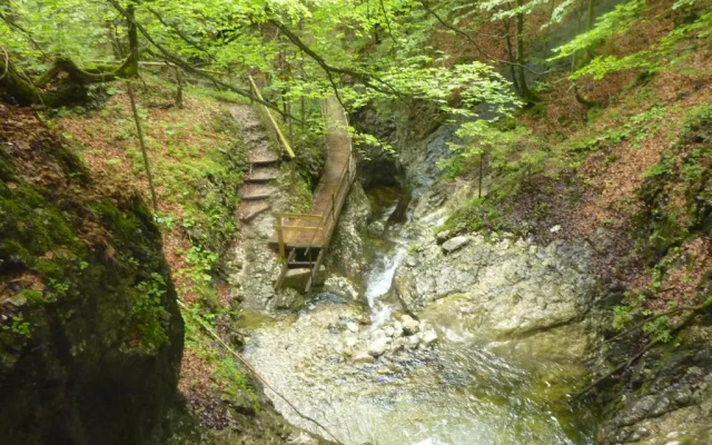 Gästehaus Schönfeld