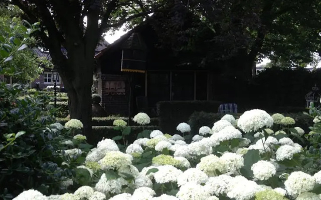 B & B de Vlinder