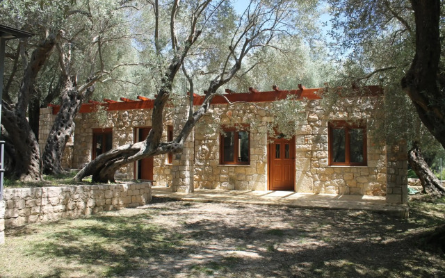Stonehouse in Olives