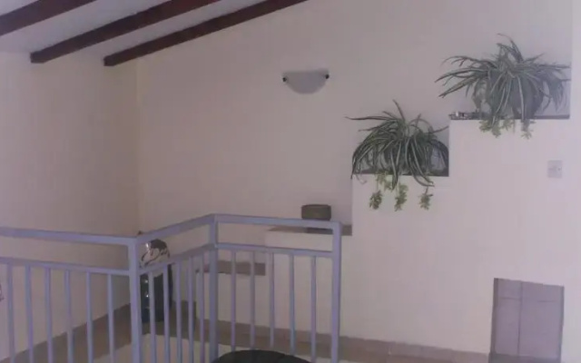 Apartments Kleo