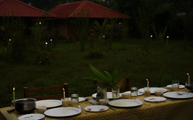 Tadoba Safari Stay Nature's Sprout