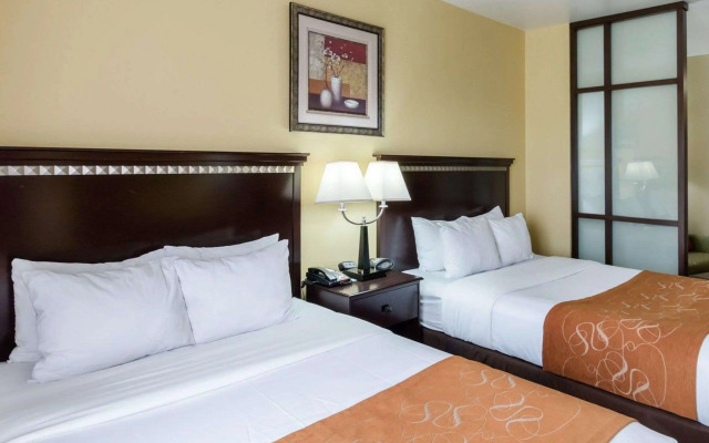 Comfort Suites Palestine