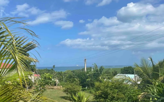 Bel appartement t2 avec vue sur palmier et mer