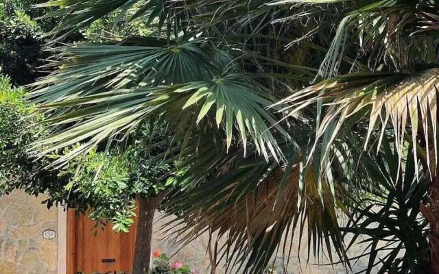 Seki̇z Oda Otel
