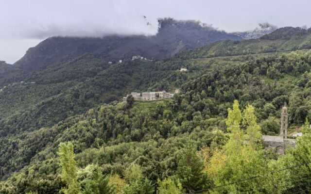 Filippi (CTN275)