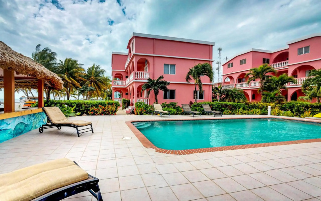 Saponaria 21-22 at Caribe Island Gold Standard Certified