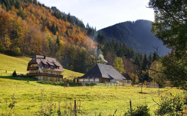 Gasthaus zur Linde-Napf