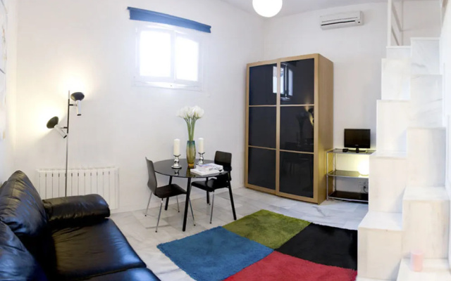 Apartamentos Puerta del Sol-Lofts Calle Ribera de Curtidores