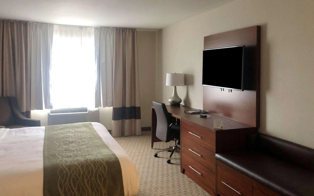 Comfort Inn & Suites Custer - Crazy Horse Area