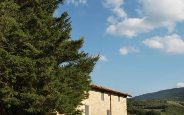 Tenuta San Felice
