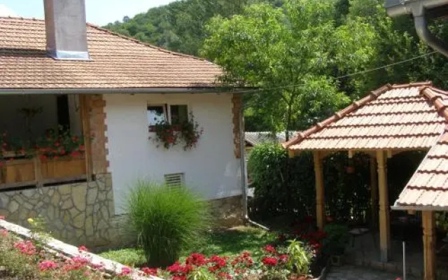 Guest house Guča