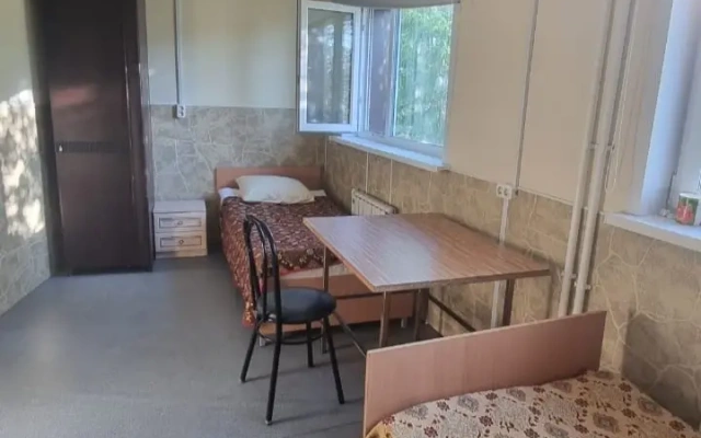 Хамелеон