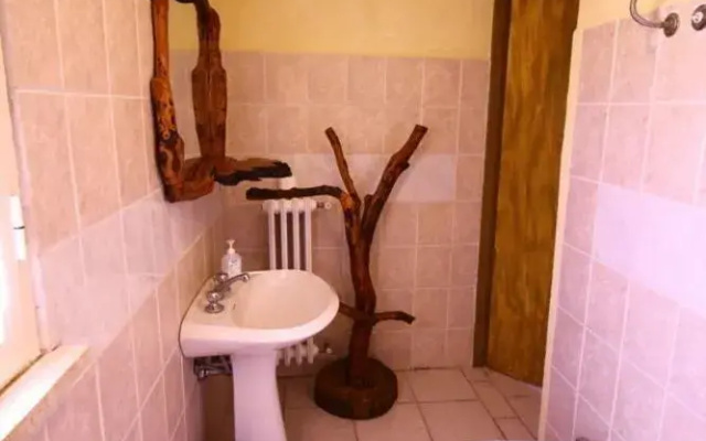 Funghi 2