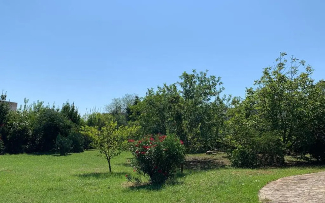 Villa Olivia