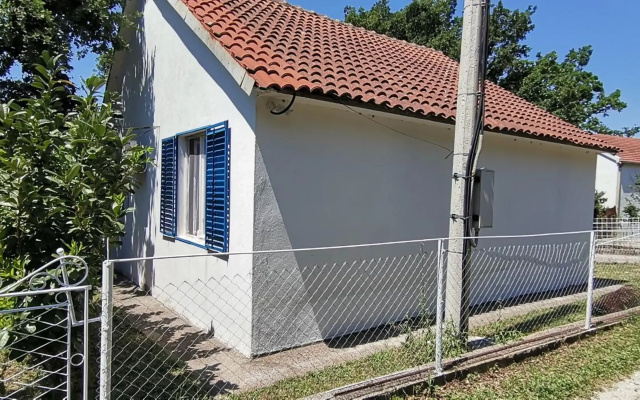 Forest house