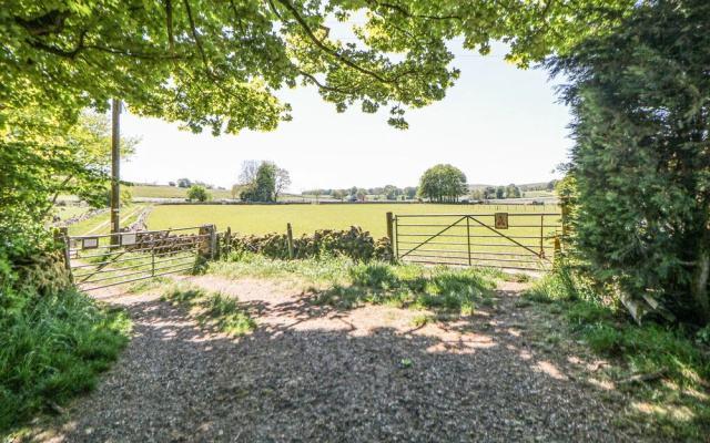 Meadow View