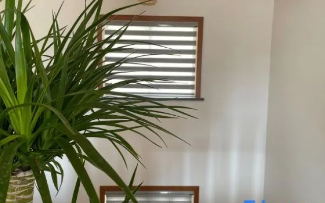 Hangzhou Qingfang Xiaoshe Homestay