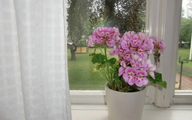 Hagaborg Bed & Breakfast