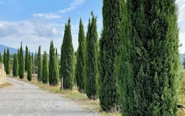 Podere Montale Winery