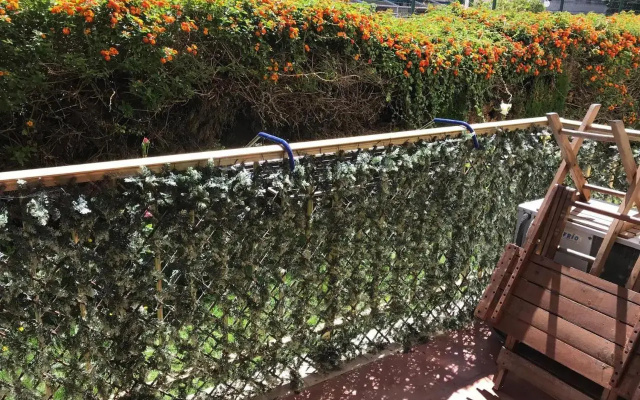 Planta Baja Reformada - 152b