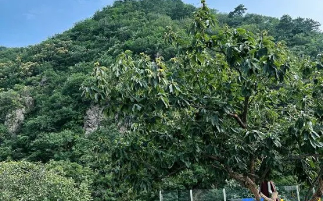 Xishang Homestay