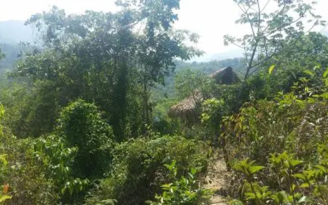 Minca Glamping
