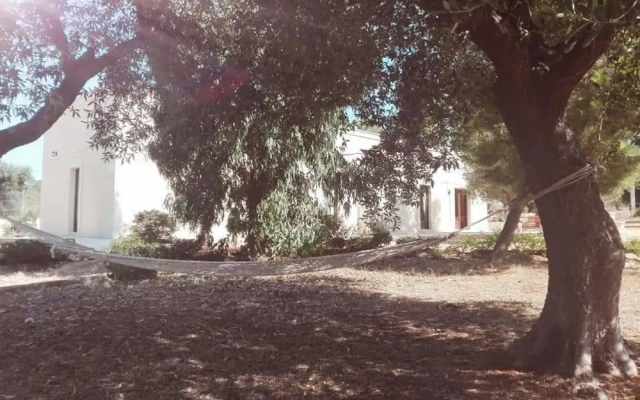 Valle degli Ulivi