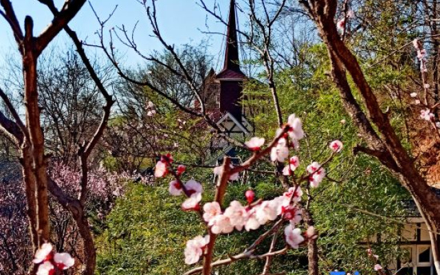 Beijing Tianyu Mountain Villa Resort Hotel (Fangshan Branch)
