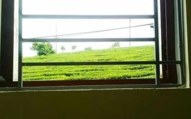Moc Chau Xanh Guesthouse