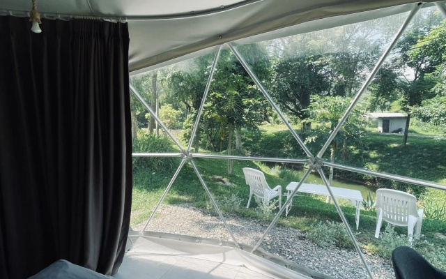 Panipa Organic Farm and Glamping