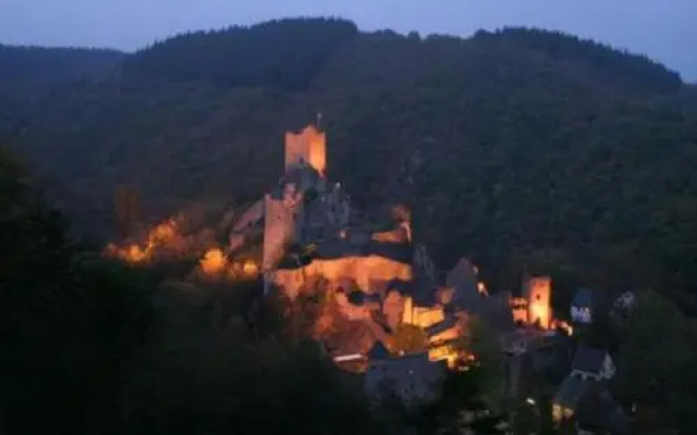 Vulkaneifel Type D