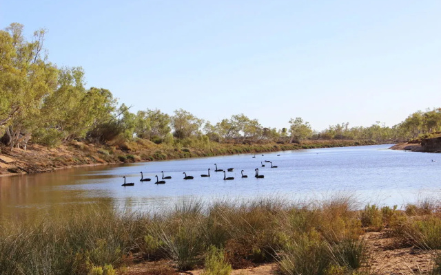 Wooleen Station