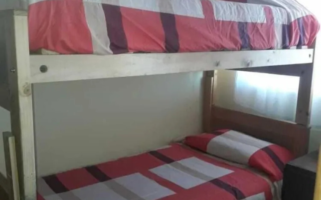 Hostel Cactus