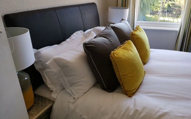 The Lazy Lion
